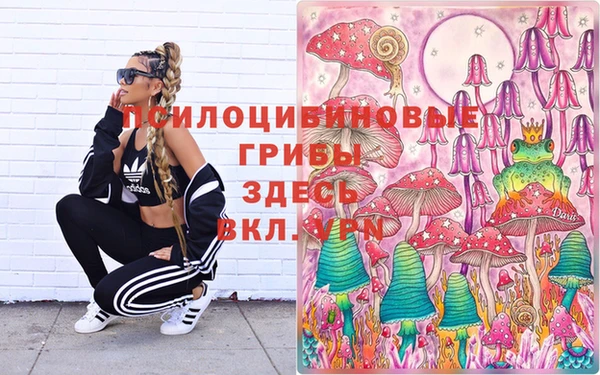 шишки Богородск