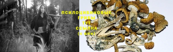 прущие крисы Богородицк