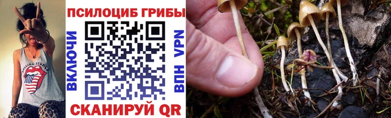 Галлюциногенные грибы Cubensis  Кола 
